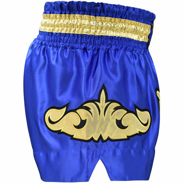 RDX R6 Sapphire Muay Thai Hose